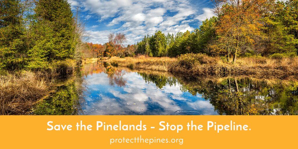 Save the Pinelands