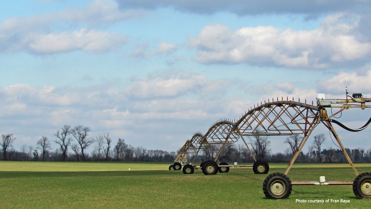 Pilesgrove Township Rejects 800+ Acre Utility Solar Project ReThink